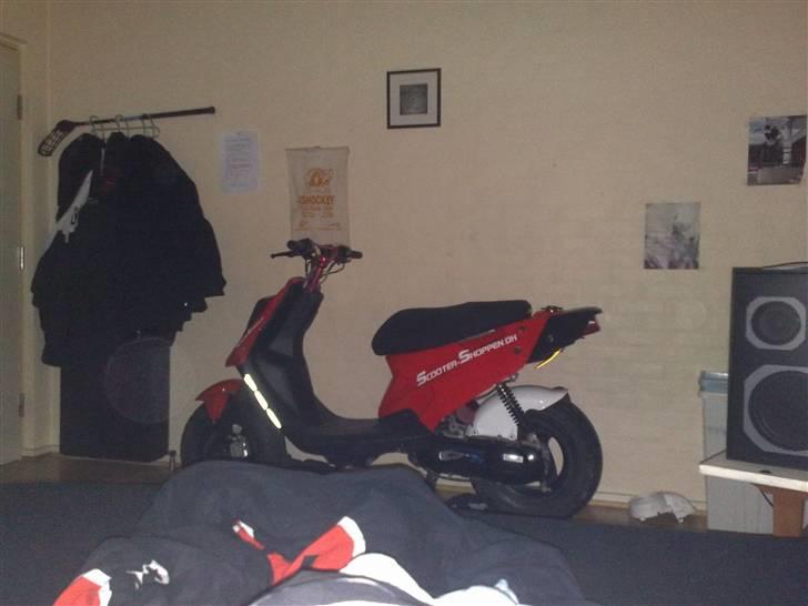 PGO hot 50 [byttet] billede 11