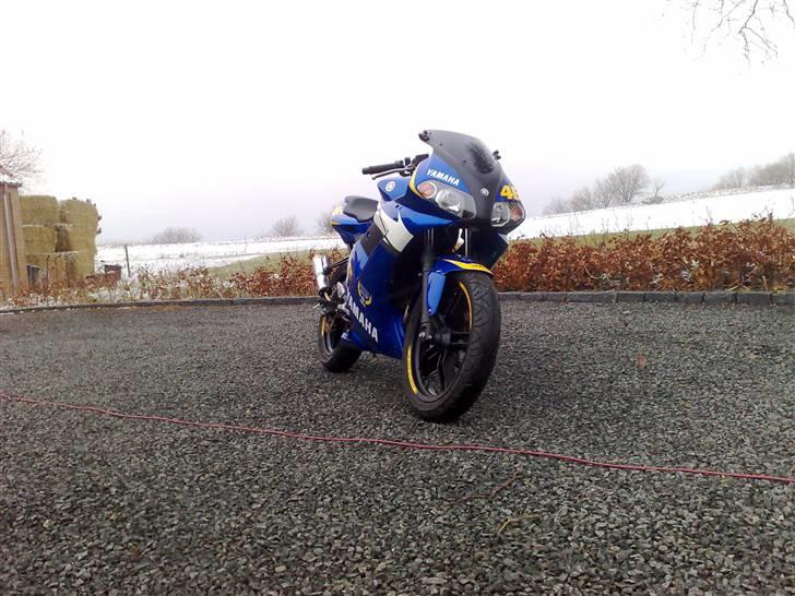 Yamaha tzr Limited  edition billede 2