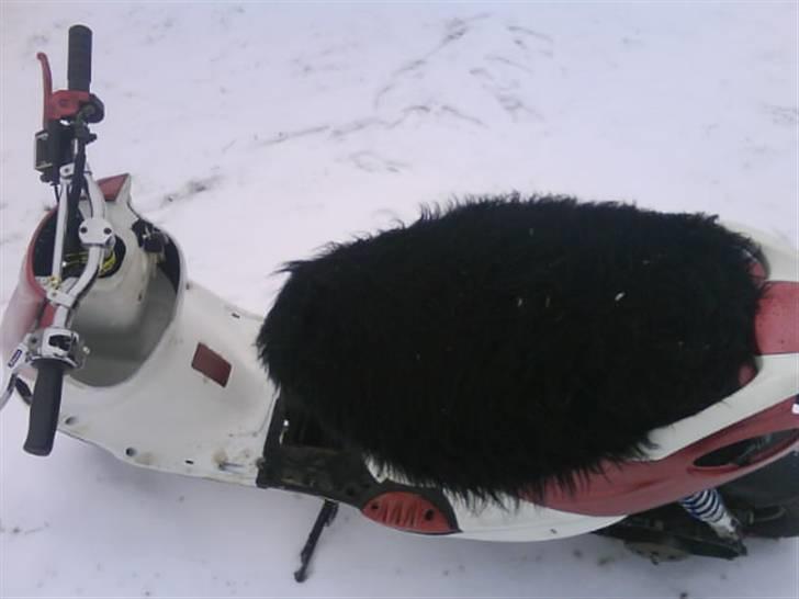 PGO galaxy/hot efter - byttet billede 6