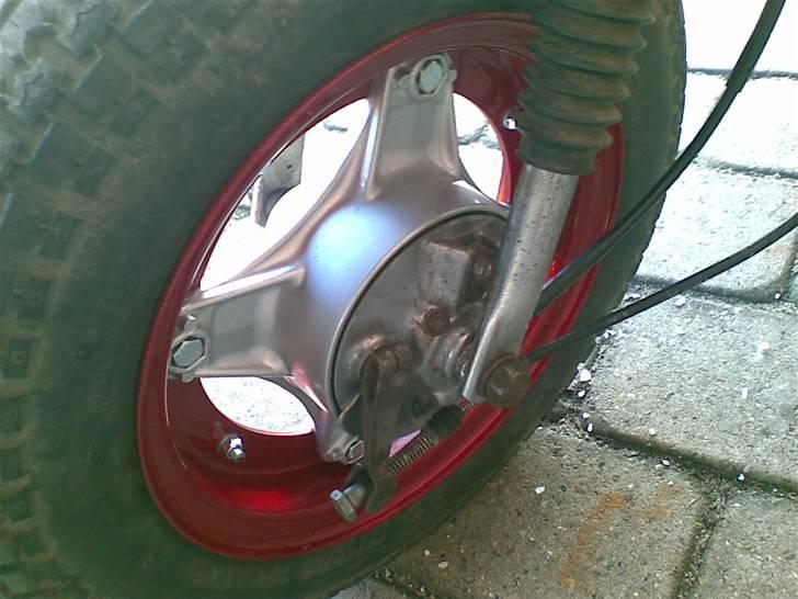 Honda dax st50  billede 5