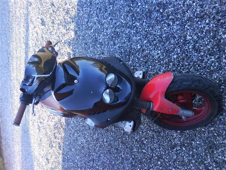 PGO PMX sport - (Solgt) billede 5