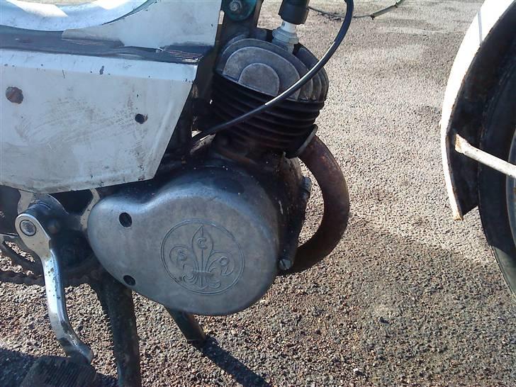 Sco Populær ~BYTTET~ billede 6