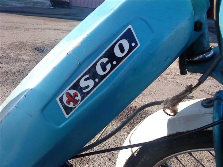 Sco Populær ~BYTTET~ billede 8