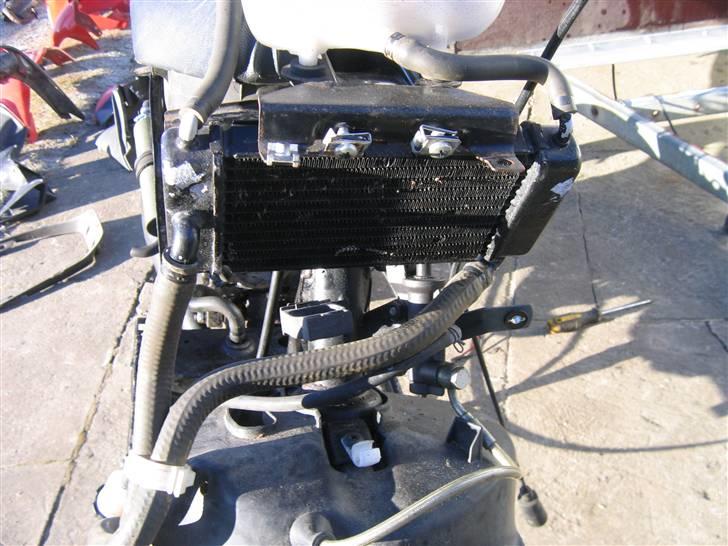 Piaggio nrg (byttet til jog) billede 11