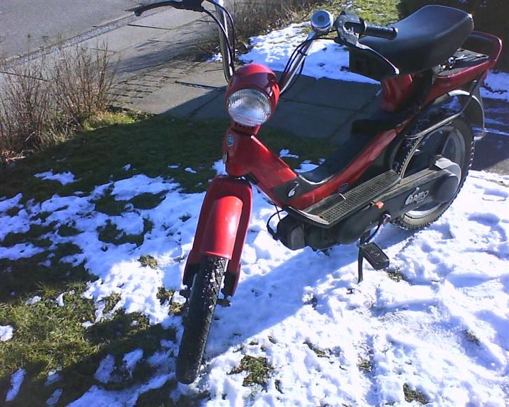 Piaggio grillo  billede 9