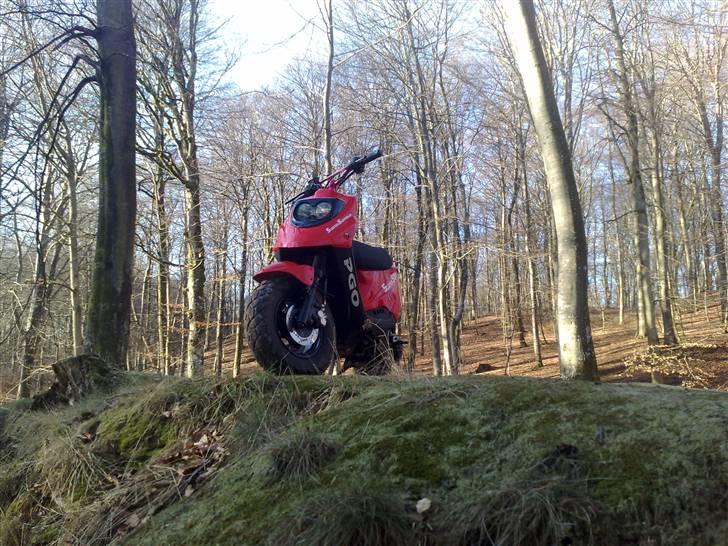 PGO hot 50 [byttet] billede 20