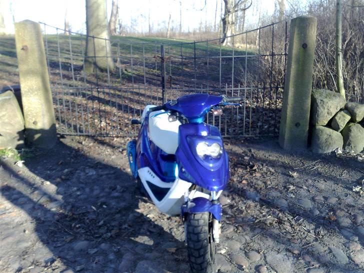 PGO Hot 50 (Byttet væk) billede 16