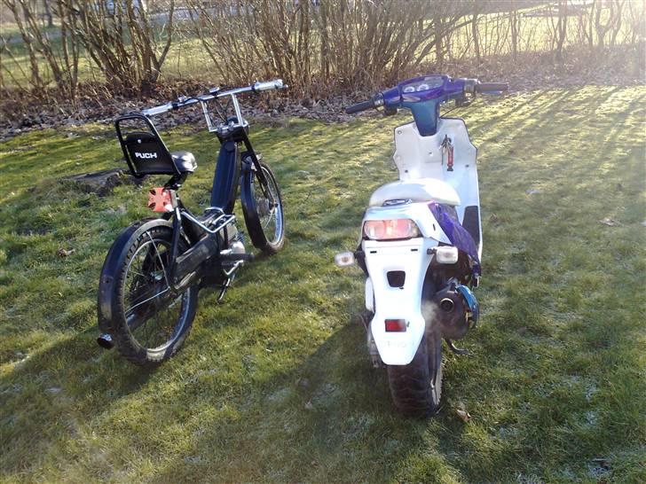 PGO Hot 50 (Byttet væk) billede 20