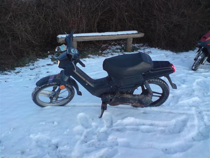 Honda wallaroo(solgt) billede 2