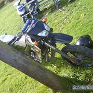 Derbi Senda