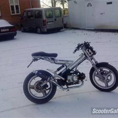 Sachs Madass (Aka Den SureRøv) Saelges.