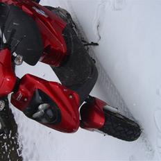 PGO Hot 50            [SOLGT]