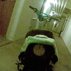 PGO hot/projekt byttet