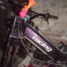 Puch maxi k