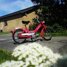 Puch Maxi K E50 - Original