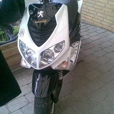 Peugeot speed fight 2 rcup 