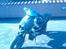PGO pmx sport  solgt