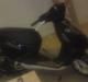 Aprilia Sonic - ¤Totaltskadet¤
