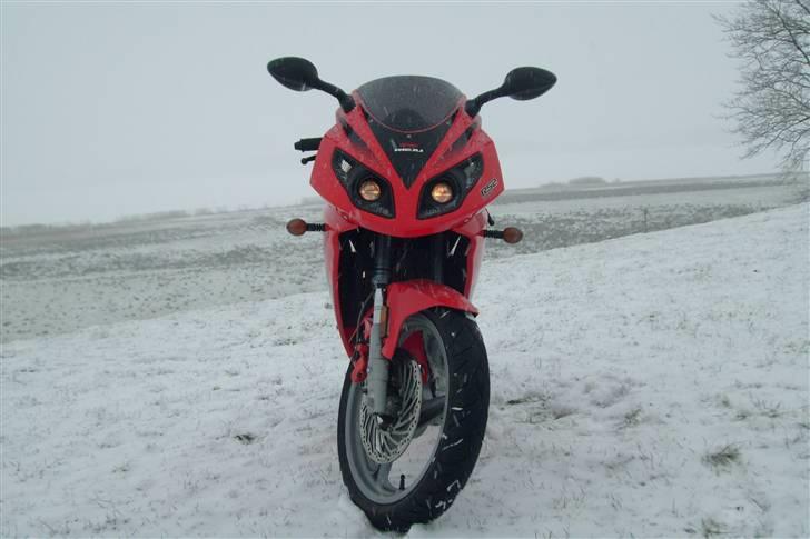 Rieju Matrix rs 2 "solgt" billede 8