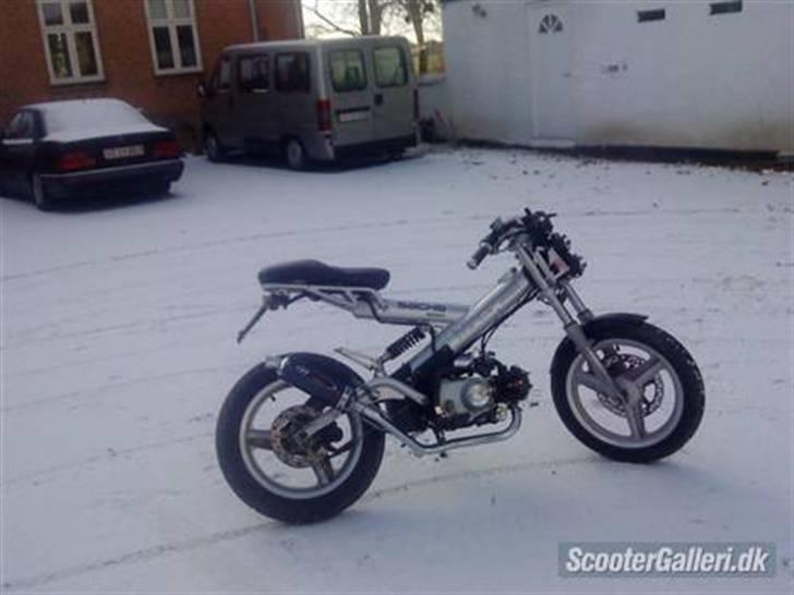 Sachs Madass (Aka Den SureRøv) Saelges. billede 2