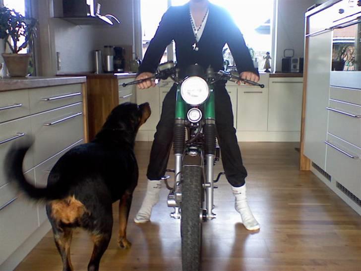 Yamaha fs1 4 gear DX for sale - og også vovsen billede 8