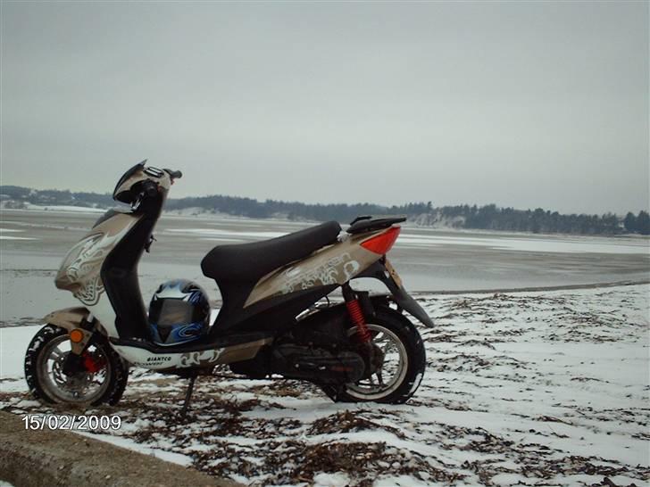 Giantco spartan billede 2