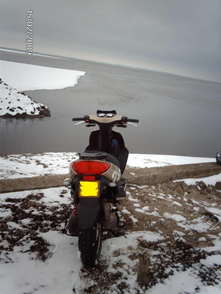 Giantco spartan billede 3