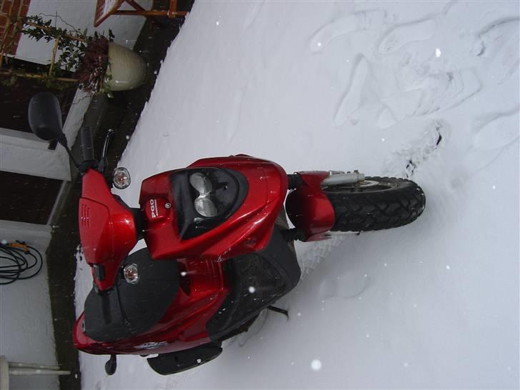 PGO Hot 50            [SOLGT] billede 2