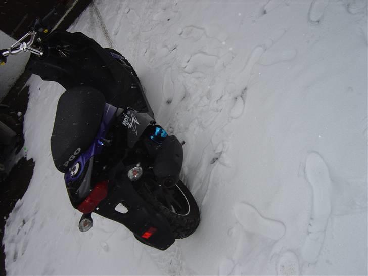 PGO Hot 50 [SOLGT] billede 5