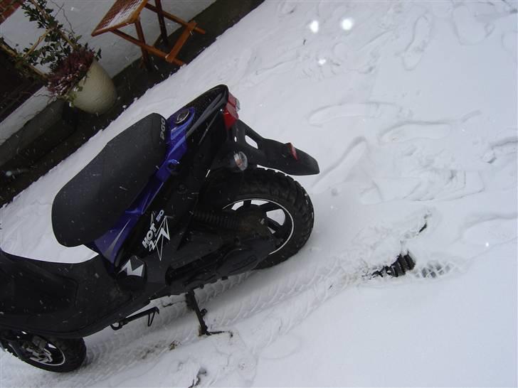 PGO Hot 50 [SOLGT] billede 6