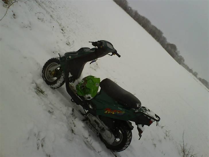 PGO Hot 50 billede 10