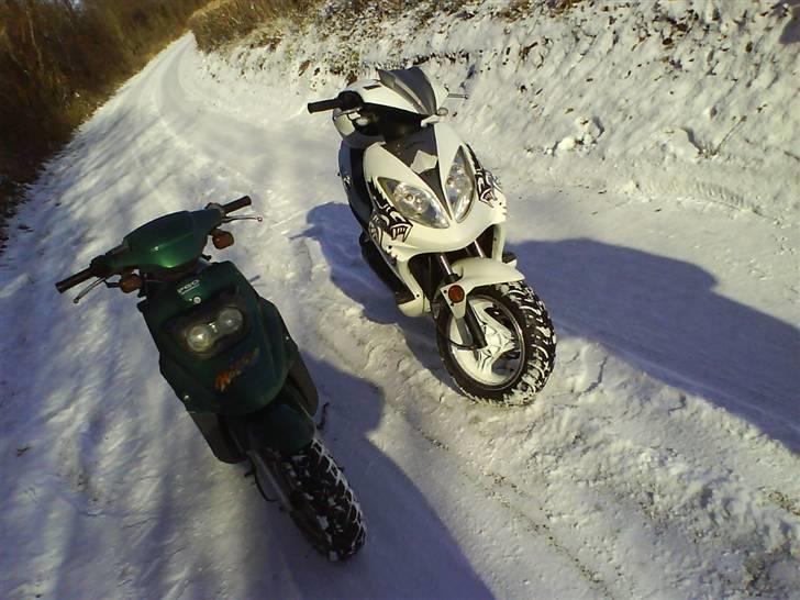 PGO Hot 50 billede 11