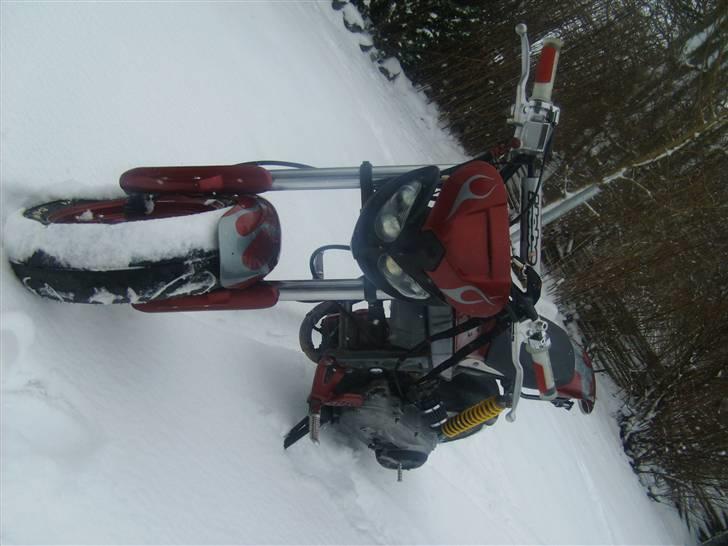 Suzuki Street magic (Byttet) billede 12