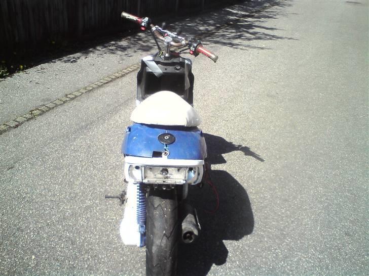 Adly Silverfox SOLGT! billede 12