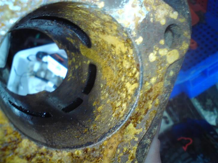 Adly Silverfox SOLGT! - ´Ikke så flot mere, ;P Men den er der. ! billede 14