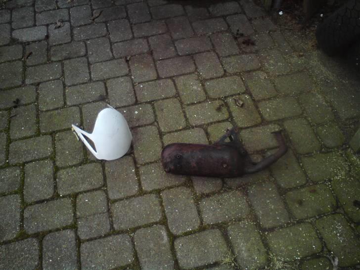 Adly Silverfox SOLGT! billede 15