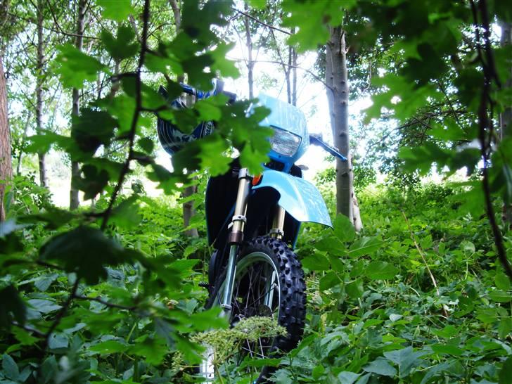 Suzuki RMX Solgt billede 8