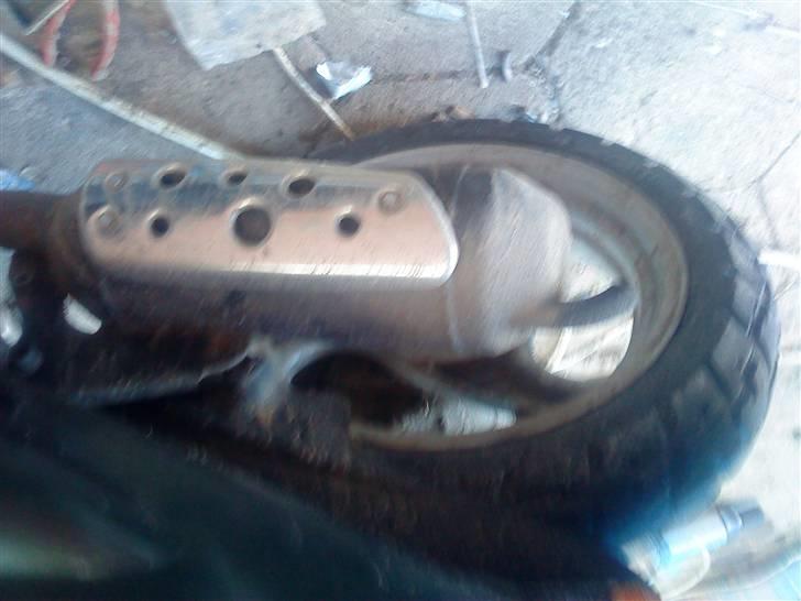 Derbi hunter byttet til Regal  billede 7