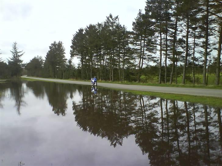 Piaggio NRG Mc3 AC <3 billede 19