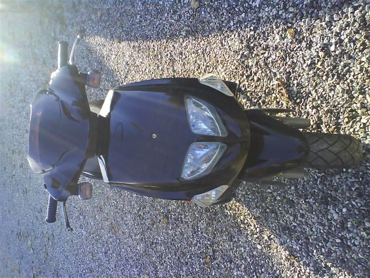 PGO Dr. Big - nyt billede 12