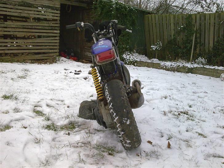 Suzuki street magic (Solgt) billede 6