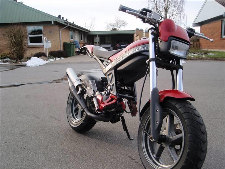 Suzuki Street magic billede 10