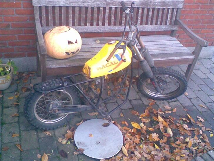 MiniBike Kina crosser billede 7