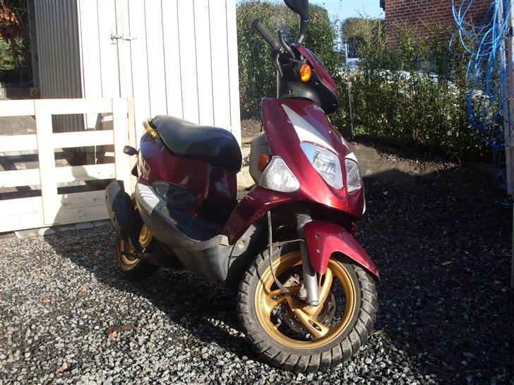 PGO T-Rex (BYTTET) billede 1