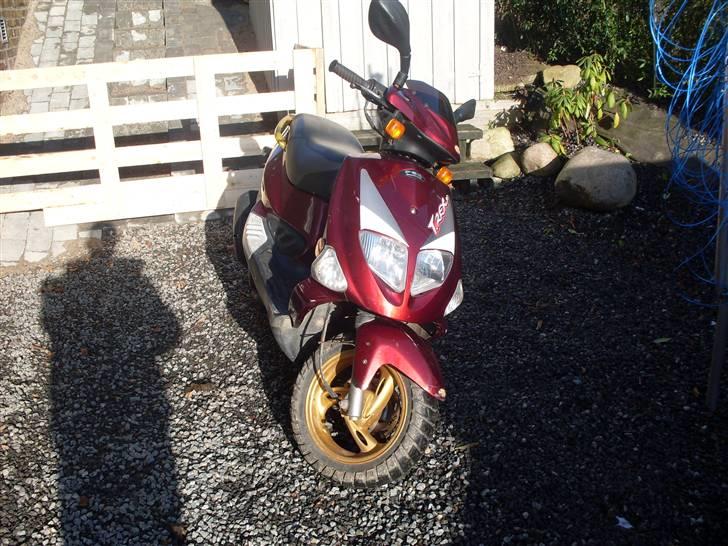 PGO T-Rex (BYTTET) billede 2