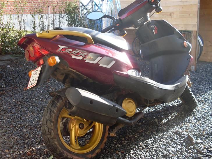 PGO T-Rex (BYTTET) billede 3