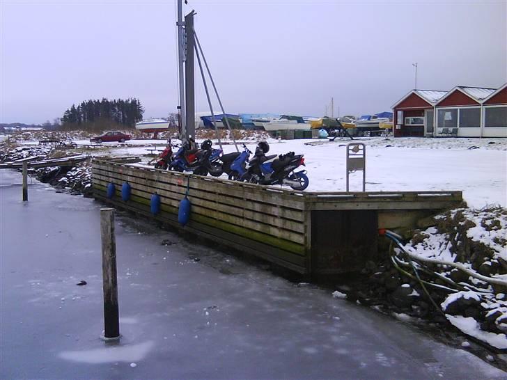 Yamaha Jog R -Byttet til Senda- - Joggie på tur med de andre. billede 10