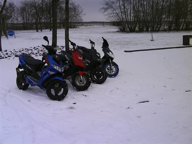 Yamaha Jog R -Byttet til Senda- - Joggie på tur med de andre. billede 12