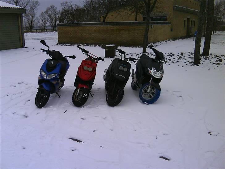 Yamaha Jog R -Byttet til Senda- - Joggie på tur med de andre. billede 13