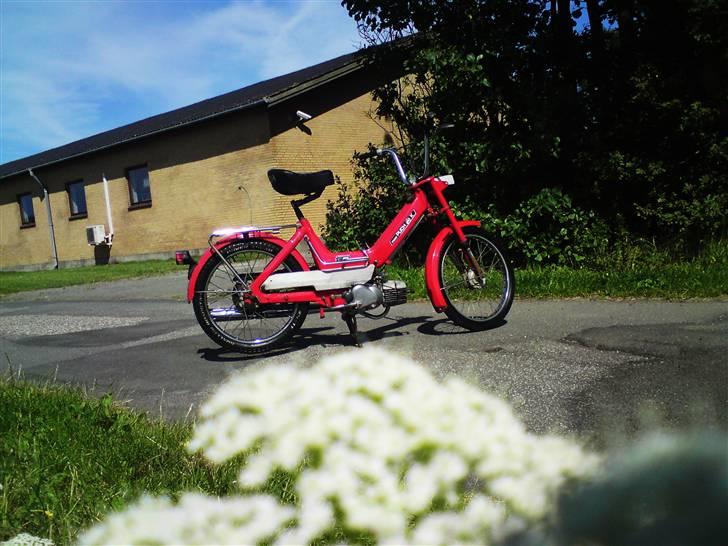 Puch Maxi K E50 - Original billede 1